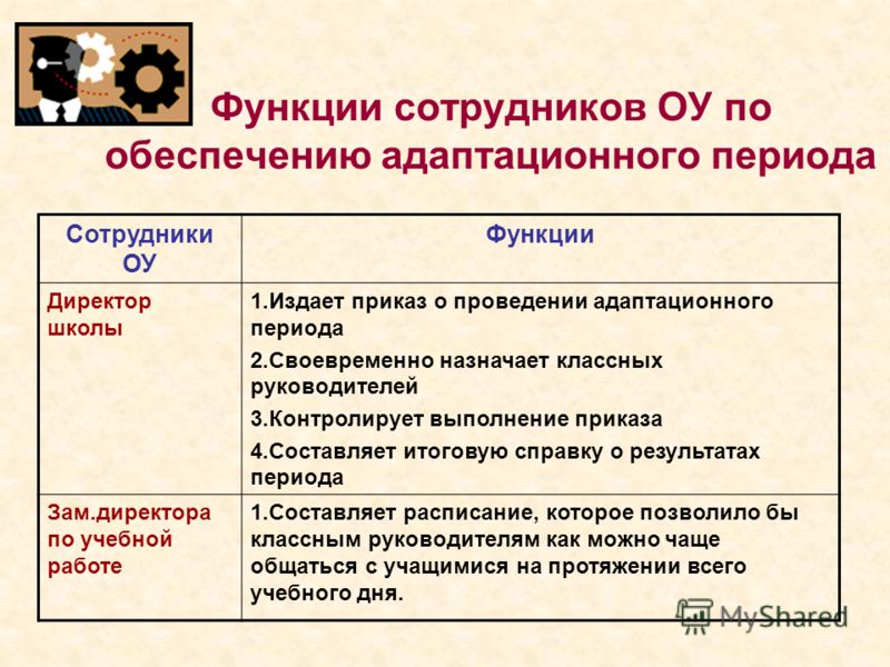 Роли работника. Функции сотрудника. Функции директора школы. Функционал директора школы. Функционал работника.