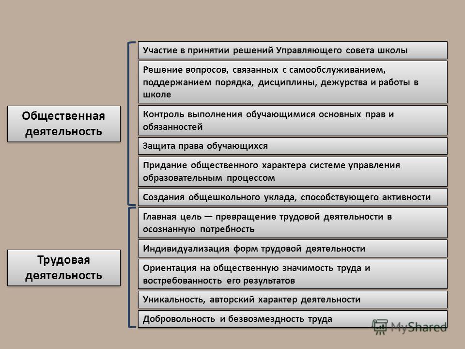 Какую общественную работу. Общественная деятельность примеры. Общественная работа это примеры. Общественная работа в школе пример. Опыт общественной деятельности пример.