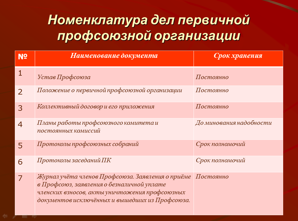 Профсоюзы примеры организаций. Номенклатура дел первичной профсоюзной организации. Документы первичной профсоюзной организации. План работы профсоюза в школе. Номенклатура профсоюзного комитета.