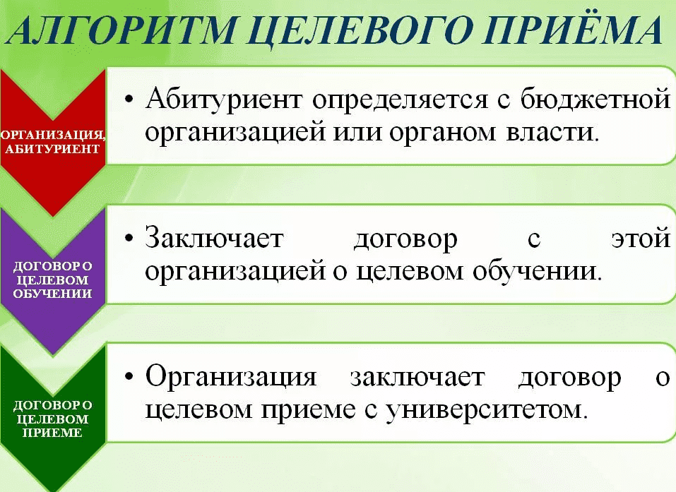 Заявка на целевое обучение образец