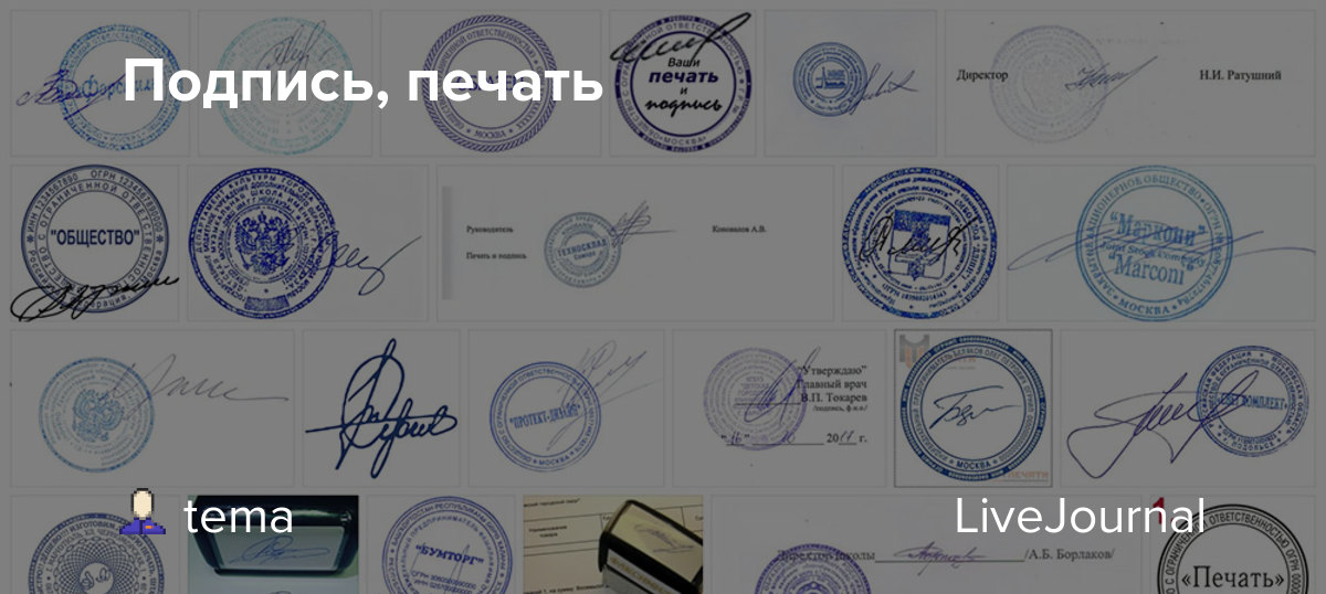 Документ с печатью и подписью образец