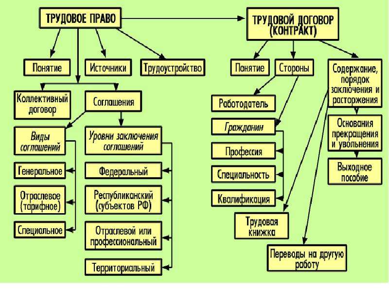 План на тему основы трудовых правоотношений в рф