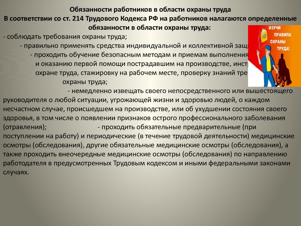 Обязанности работника по трудовому кодексу: Статья 21 ТК РФ Основные