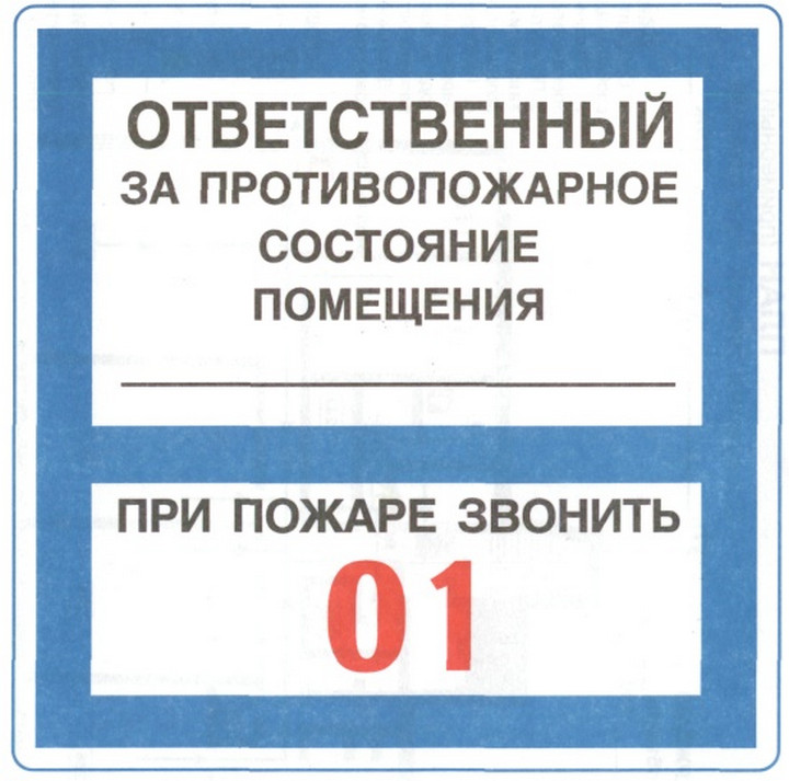 На кого возлагается ответственность за общее руководство и организацию работ по ликвидации сдо