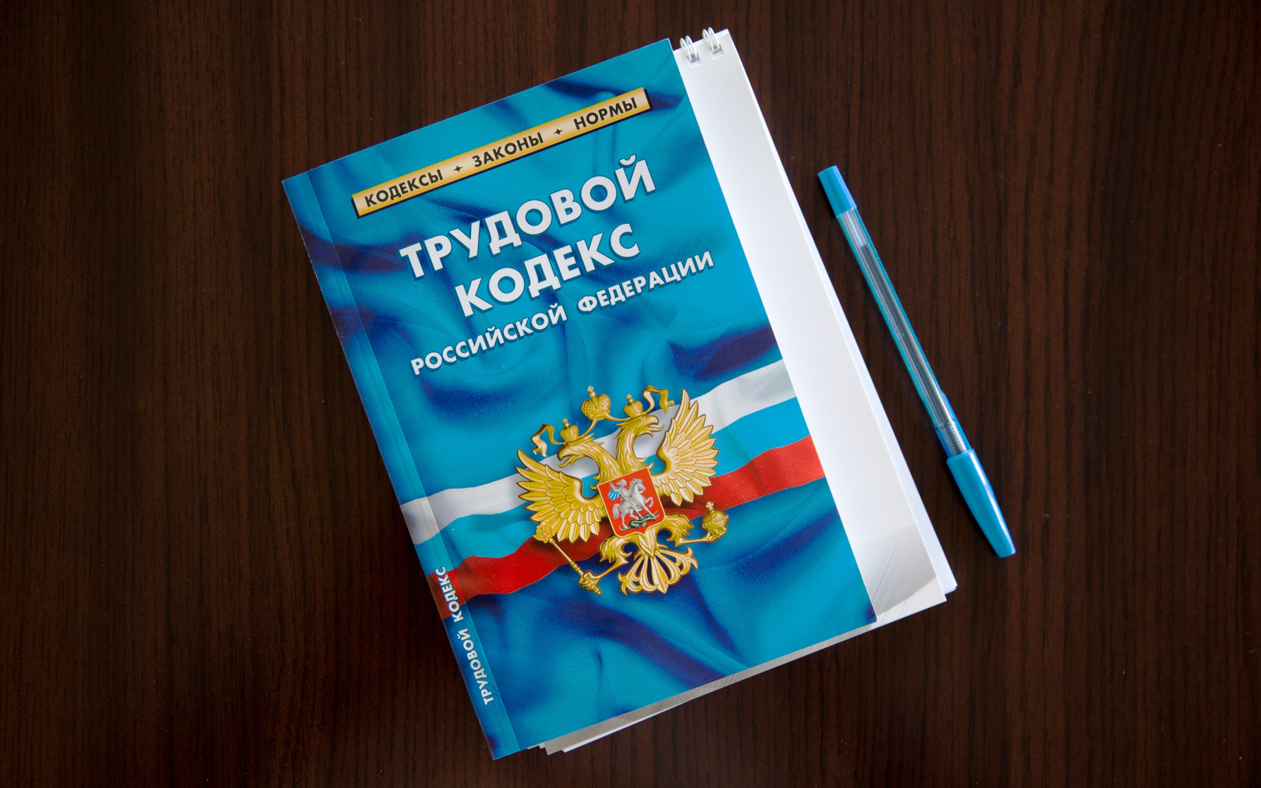 В трудовом кодексе рф: Трудовой кодекс Российской Федерации от 3012