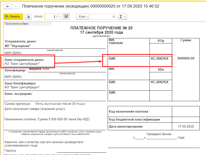 Как заполнить поле 101 в платежном поручении в 1с