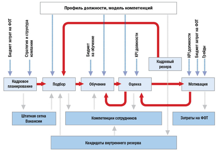 Профиль должности картинки