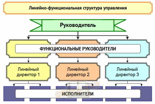 Как заполняется поле структурное подразделение в регистрационной карточке на компьютере