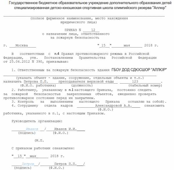 На кого возлагается ответственность за общее руководство и организацию работ по ликвидации сдо