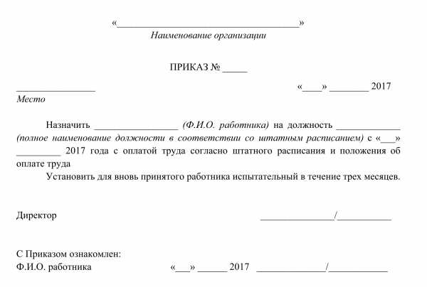 Приказ о назначении на должность директора образец