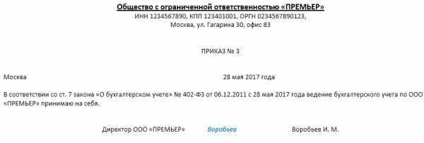 Возложить обязанности главного бухгалтера на директора образец