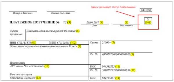 Как заполнить поле 101 в платежном поручении в 1с