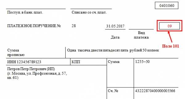 Как заполнить поле 101 в платежном поручении в 1с