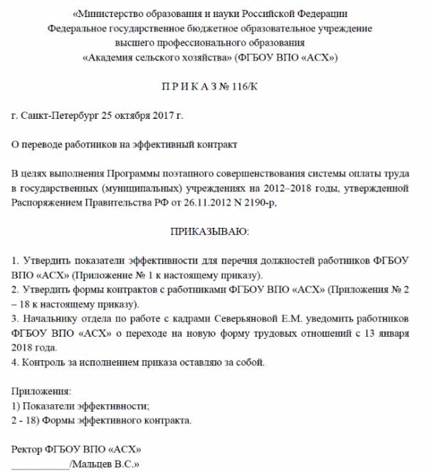 Образец эффективного контракта для бюджетников